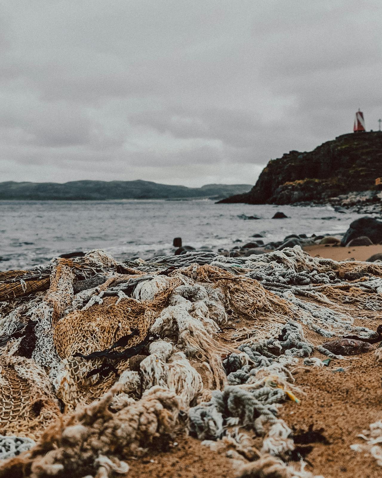 Plastic Pollution & Marine Debris from Fish Oil