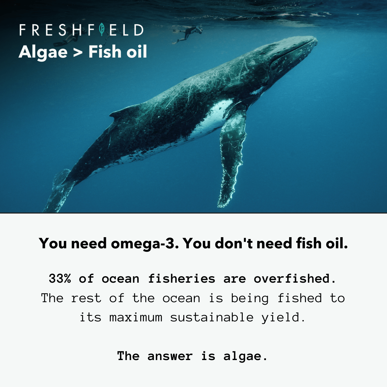 Vegan Omega 3 DHA + DPA (US), Freshfield, Vitamins & Supplements, Vitamins & Supplements