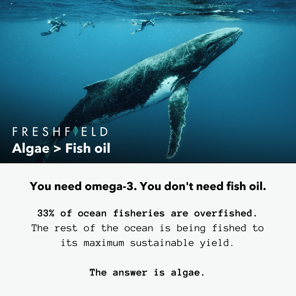 Vegan Omega 3 DHA + DPA (CA), Freshfield, Vitamins & Supplements, Vitamins & Supplements