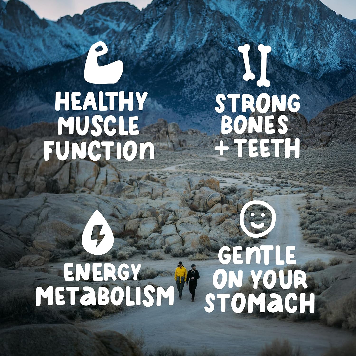Magnesium benefits — healthy muscle function, strong bones and teeth, energy metabolism, and gentle on your stomach