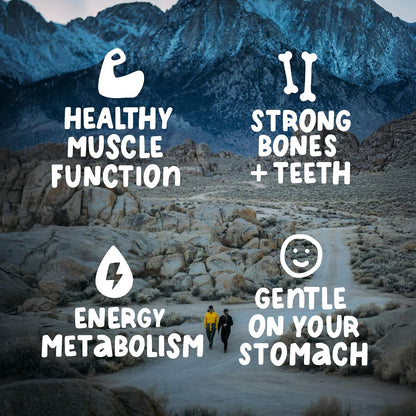 Magnesium benefits — healthy muscle function, strong bones and teeth, energy metabolism, and gentle on your stomach